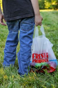 bag full of apples