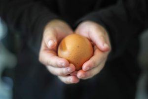 boy holding egg