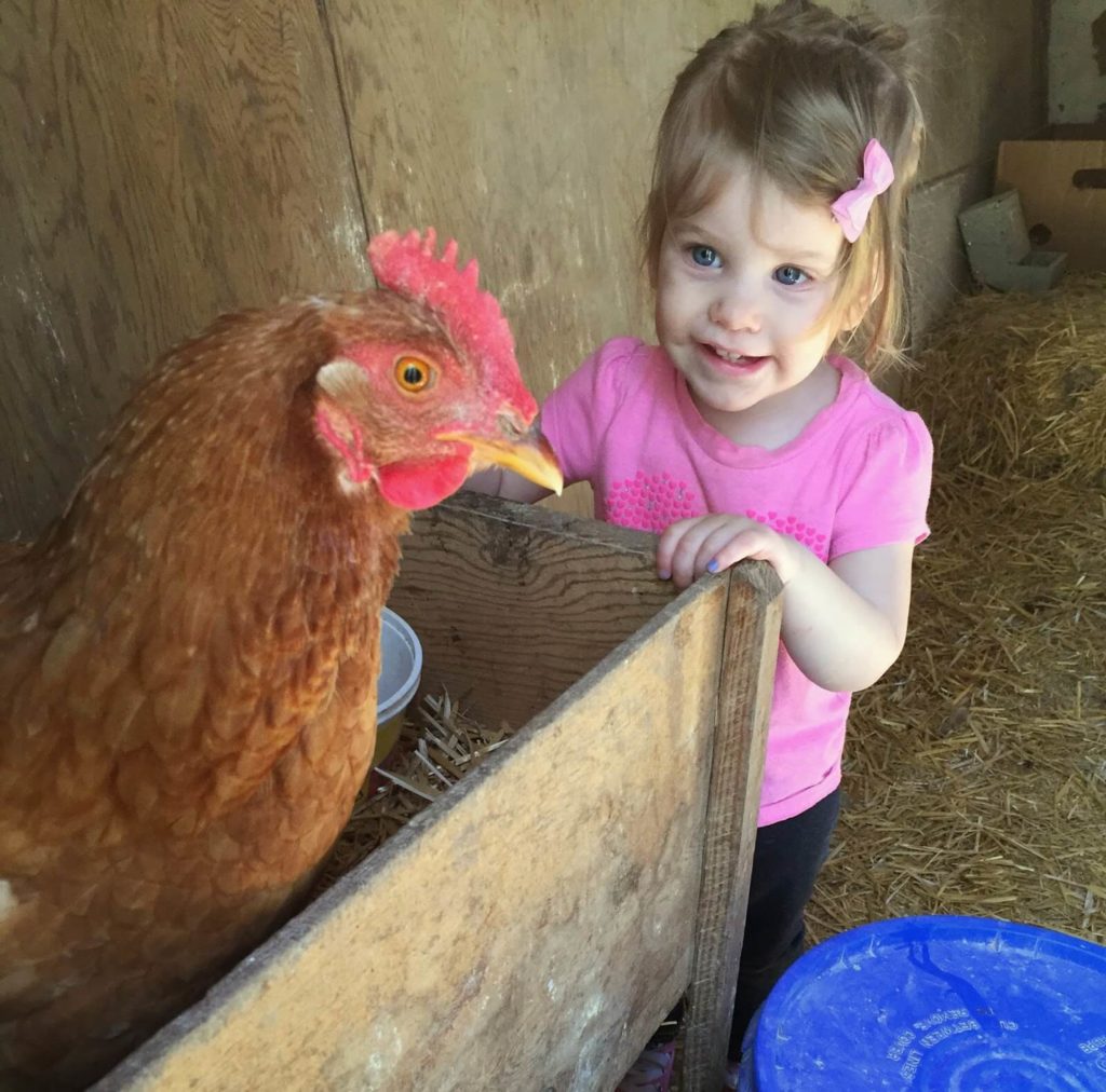 evangeline and a chicken - Raising Roberts