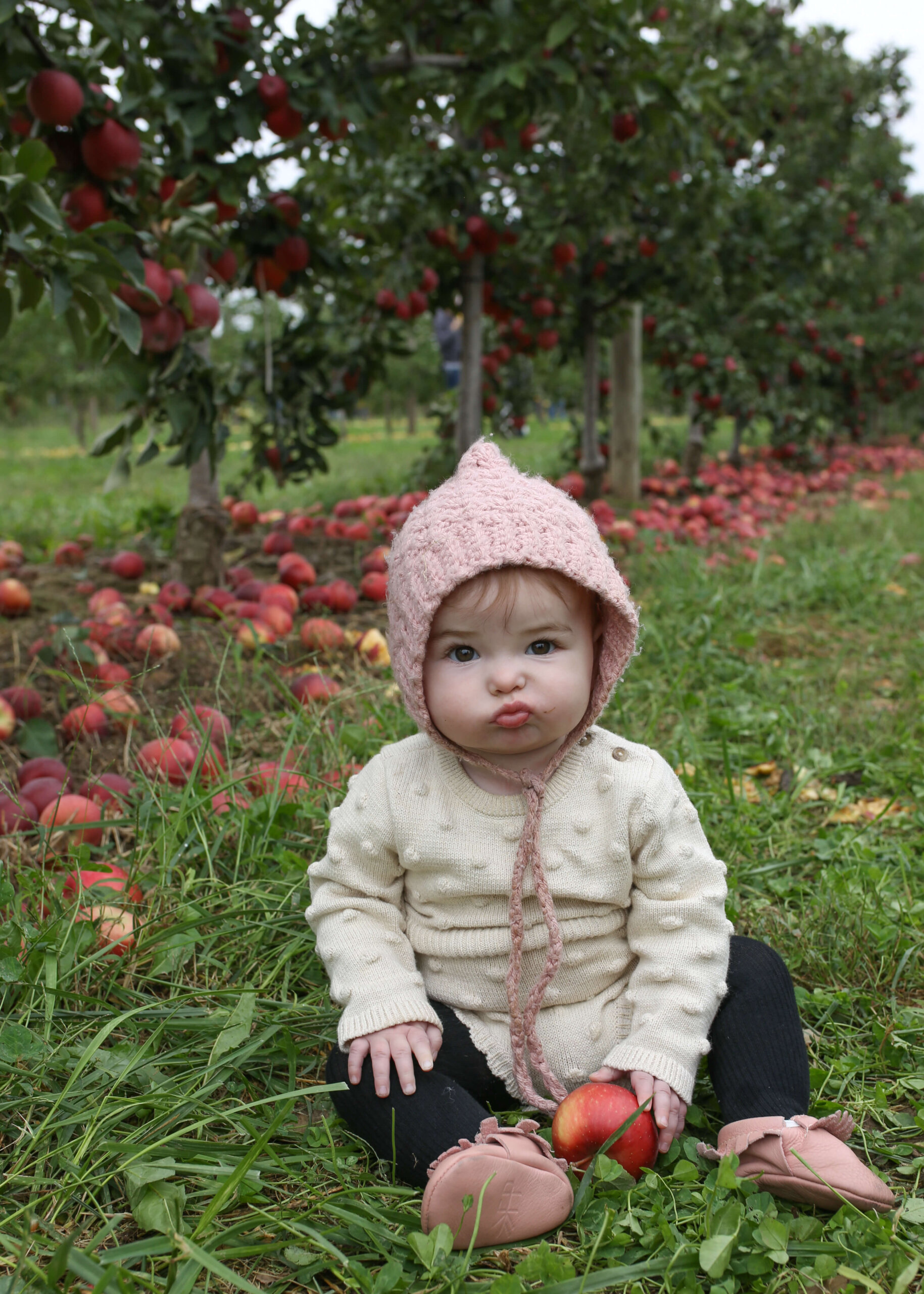 apple picking eckerts038 Raising Roberts